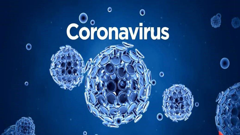 2020 CORONA VIRUS (COVID-19)
