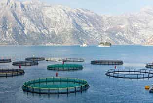 Aquaculture