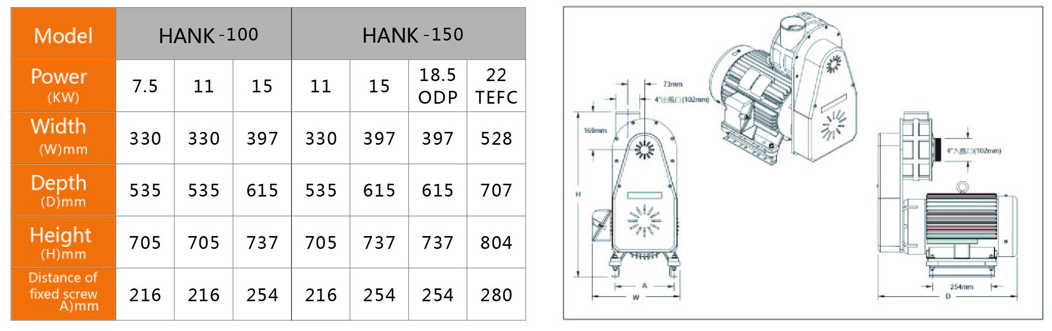 hank-100