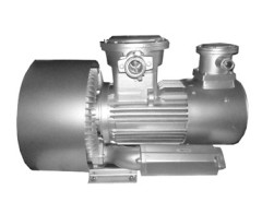 side channel blower for Biogas