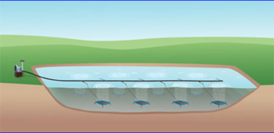 aquaculture principle