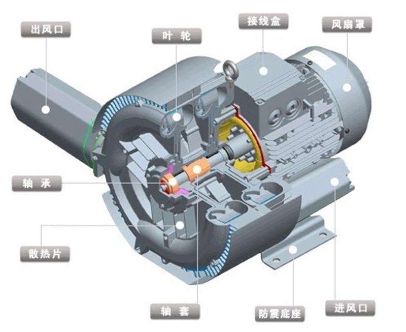 rotary blower