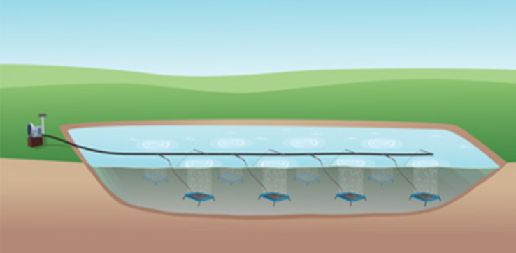 Principle of side channel blower in aquaculture