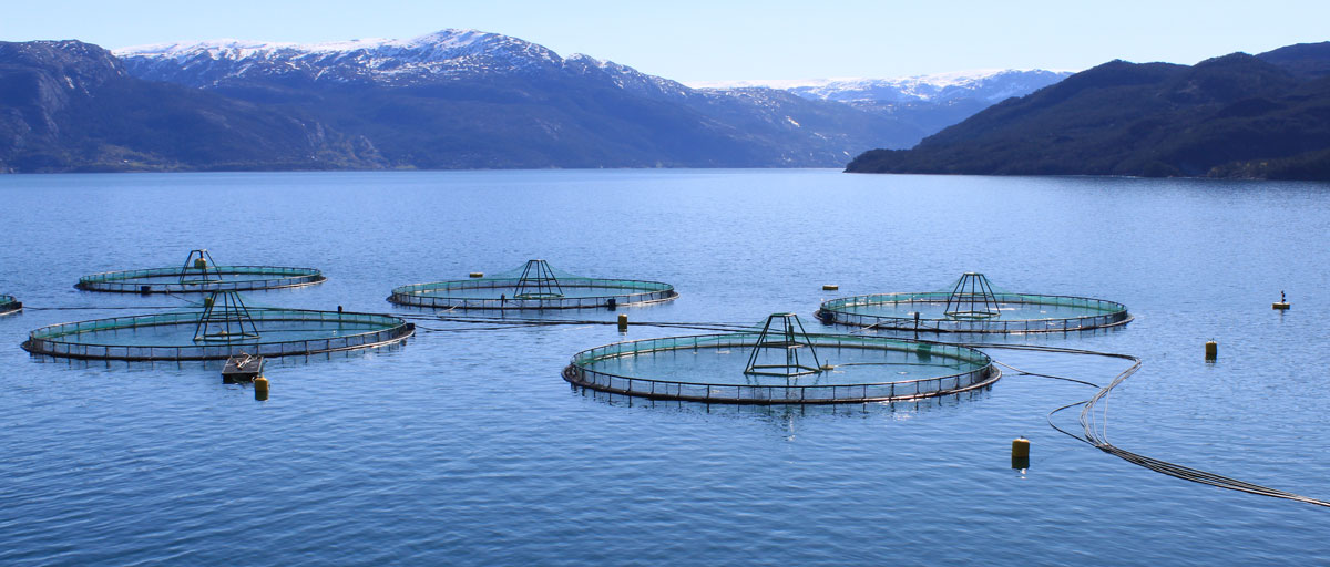 aquaculture